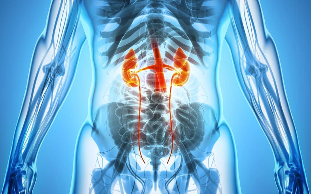 Urology Services Coming to Pipeline